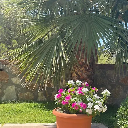 Four Seasons 1 - Ovacik فتحية